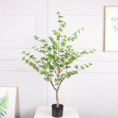 Cây thạch nam giả trang trí