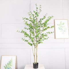 Cây thạch nam giả trang trí