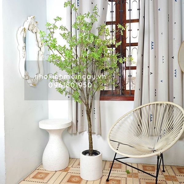 Cây thạch nam giả cao 180 cm