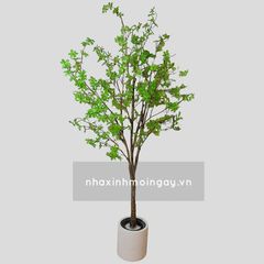 Cây thạch nam giả cao 180 cm