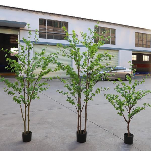 Cây thạch nam giả trang trí