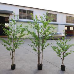 Cây thạch nam giả trang trí