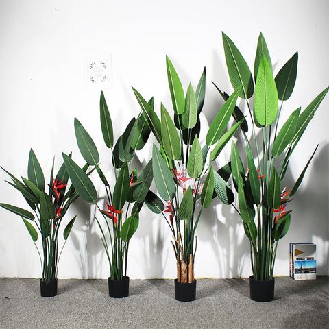 cây thiên điểu giả trang trí phòng khách đẹp giá rẻ