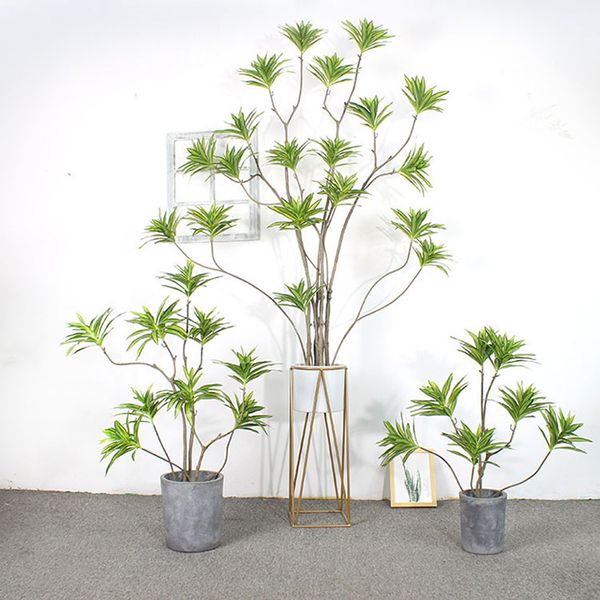 Cây thuỷ trúc giả trang trí