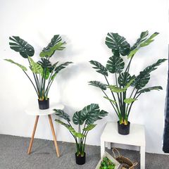 Cây trầu bà lá xẻ giả trang trí LX22