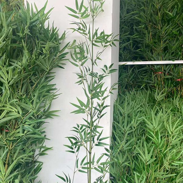 Cây trúc quân tử giả 3 mét  trang trí văn phòng