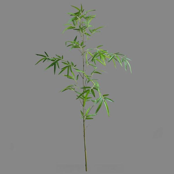 Cây trúc quân tử trang trí nội thất