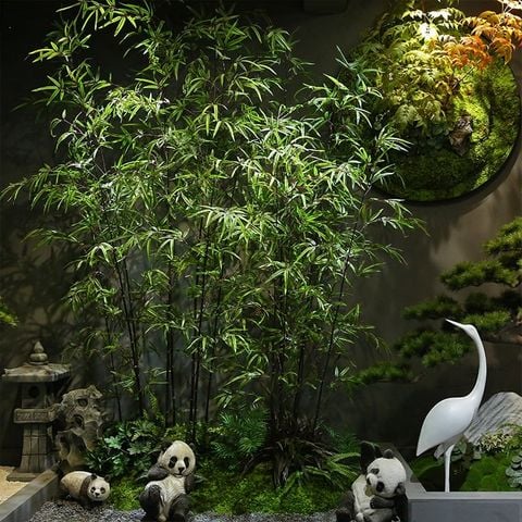 Cây trúc quân tử trang trí nội thất