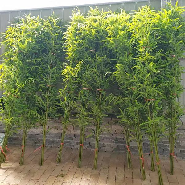 Cây trúc quân tử trang trí nội thất