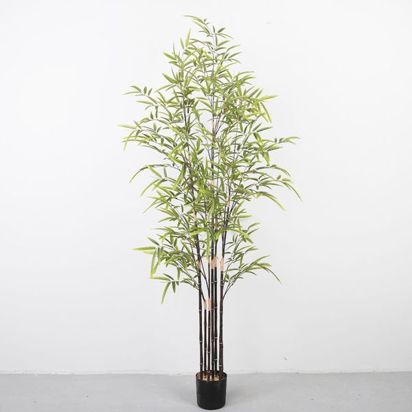 Chậu trúc giả thân đen trang trí