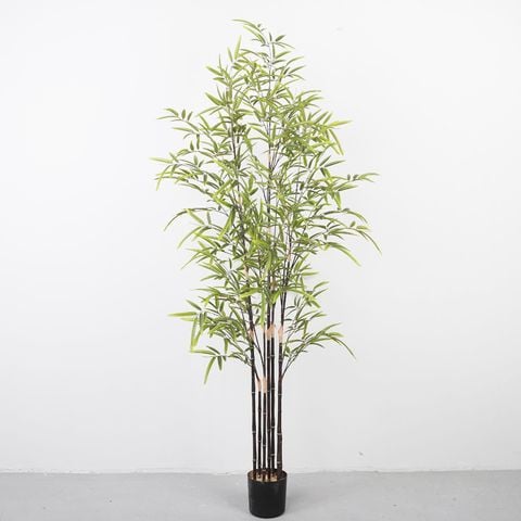 Chậu trúc giả thân đen trang trí