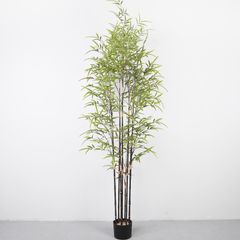 Chậu trúc giả thân đen trang trí