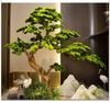 Cây tùng bonsai giả trang trí trong nhà