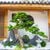 Cây tùng bonsai giả trang trí trong nhà