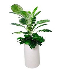 Chậu cây chuối cẩm thạch mini giả trang trí