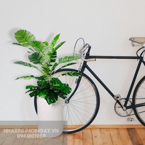 Chậu cây chuối cẩm thạch mini giả trang trí