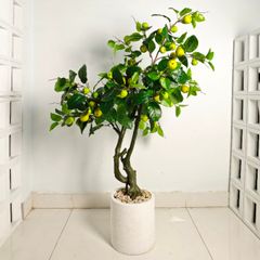 Chậu cây lê xanh giả trang trí