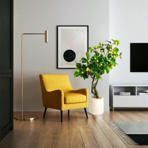 Chậu cây lê xanh giả trang trí