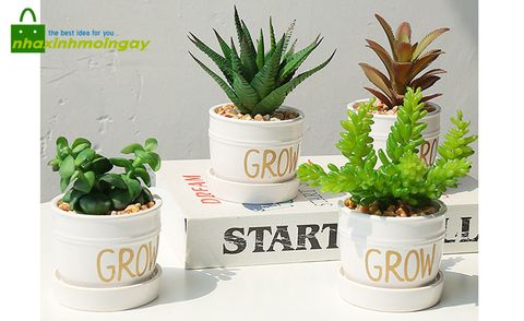 chau-cay-nho-de-ban-grow