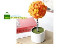 Chậu cây nhựa tròn trang trí