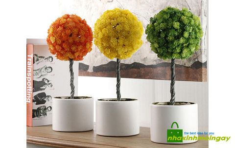 Chậu cây nhựa tròn trang trí