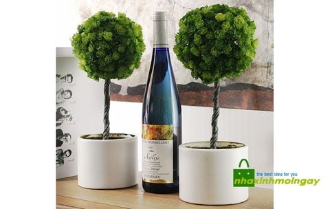 Chậu cây nhựa tròn trang trí