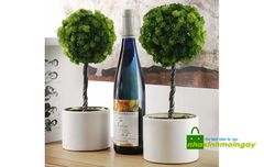 Chậu cây nhựa tròn trang trí