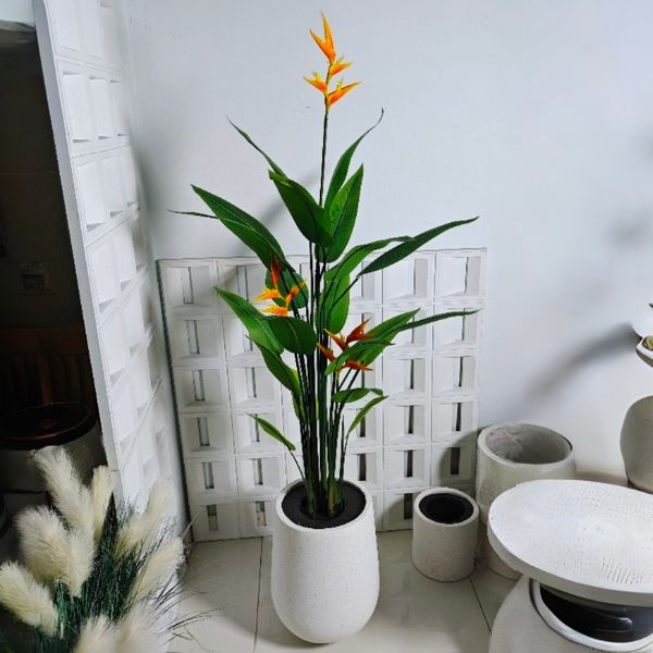 Chậu cây thiên điểu giả cao cấp ( kèm chậu )