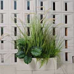 Chậu cây cỏ lau đuôi chồn giả trang trí dài 50 cm