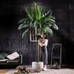 Cây dừa nhiệt đới giả trang trí