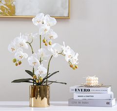 Bình lan hồ điêp giả 3 nhánh cao cấp