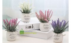 Chậu hoa lavender để bàn