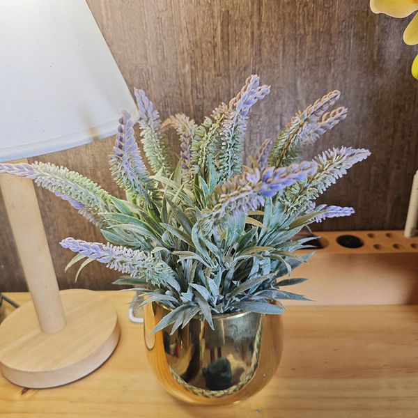 Chậu hoa lavender nhỏ để bàn