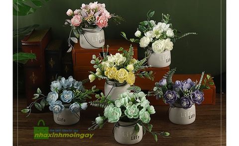 chau-hoa-nho-de-ban-life