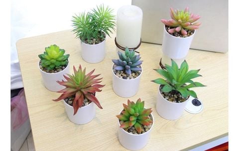 chau-hoa-sen-da-nho-de-ban