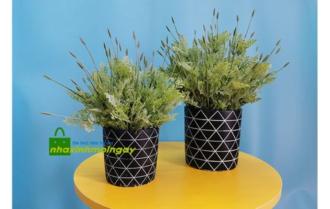 chau-la-gia-de-ban-trang-tri-phong-khach-dep-NX01