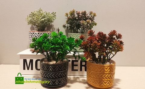 chau-la-nho-de-ban-hoa-van