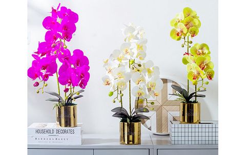 chau-lan-ho-diep-3-nhanh