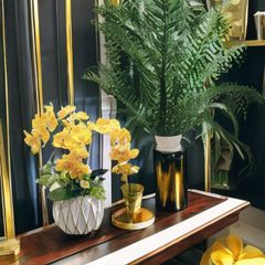 Chậu lan hồ điệp giả 3 cành để bàn LHD01