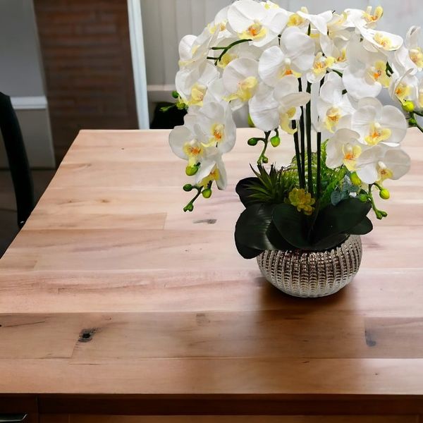 Chậu lan hồ điệp trái bí sang trọng