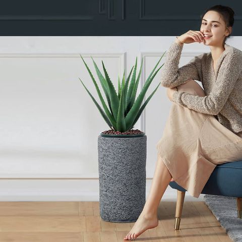 Chậu cây nha đam giả trang trí nhà cửa