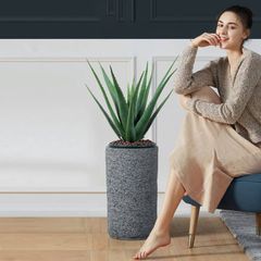 Chậu cây nha đam giả trang trí nhà cửa