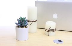 Chậu hoa sen đá để bàn trang trí