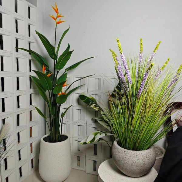 Chậu cây thiên điểu giả cao cấp ( kèm chậu )