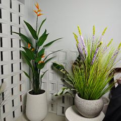 Chậu cây thiên điểu giả cao cấp ( kèm chậu )