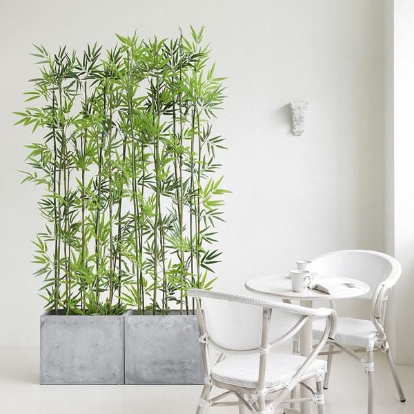 Chậu trúc giả trang trí