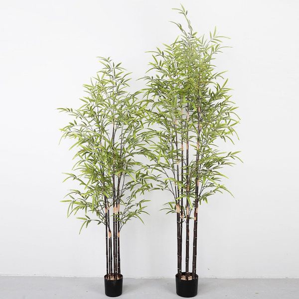 Chậu trúc giả thân đen trang trí