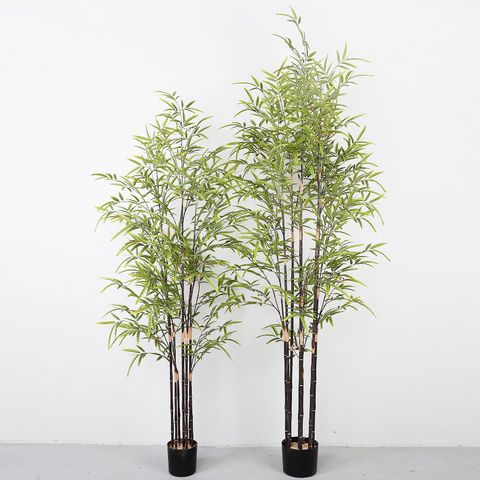 Chậu trúc giả thân đen trang trí