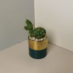 Chậu xương rồng giả mini để bàn làm việc