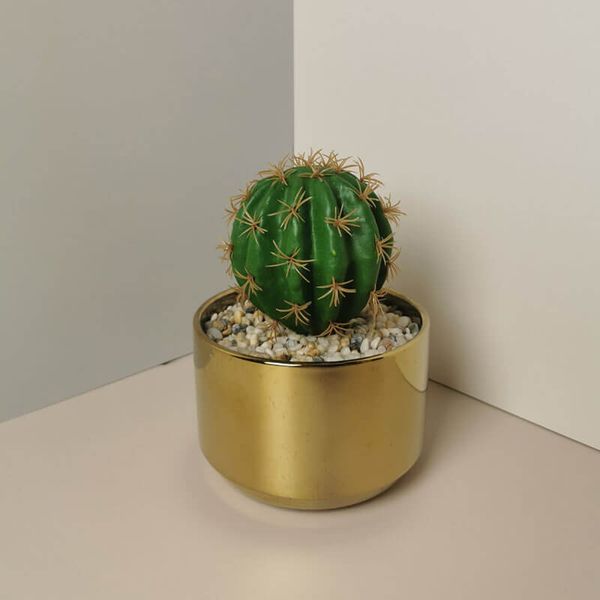 Chậu xương rồng giả mini để bàn làm việc
